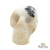 Dendritic Agate Skull