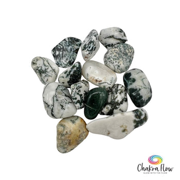 Tree Agate Tumble