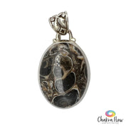 Turritella Agate Sterling Silver Pendant