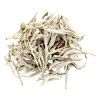 White Buffalo Sage