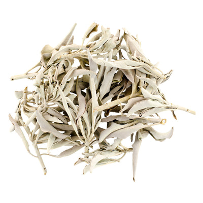 White Buffalo Sage