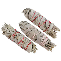 White Buffalo Sage Bundles 6"